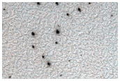 Sample of Possible Spider Terrain
