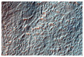 Gullies in Crater on Rim of Newton Crater
