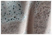 Monitor Frost on Dunes
