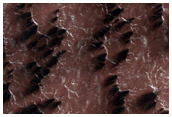 Cryptic Terrain
