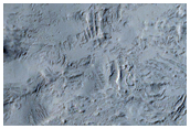 Layers Exposed in Wall of Crater in Lucus Planum

