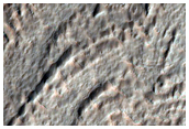 Volatiles and Gullies
