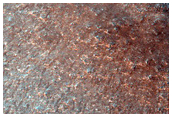 Northern Plains Terrain Sample
