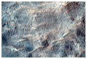 Candidate Landing Site for 2020 Mission in Kashira Crater
