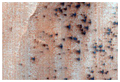 Dunes
