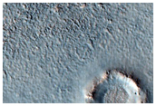 Northern Plains
