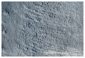 Protonilus Mensae
