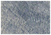 Elysium Planitia
