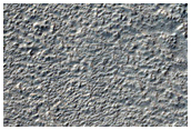 Mid-Latitude Terrain Sample
