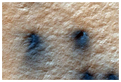 Spiders on Ejecta Blankets
