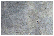 Noctis Labyrinthus Region
