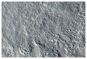 Northern Plains Sample
