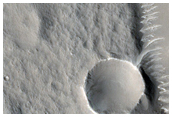 Utopia Planitia
