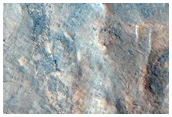 Phyllosilicate-Bearing Layered Deposits in Nilosyrtis Mensae Crater Walls
