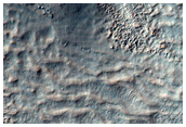Possible Gullies in Crater in Terra Sirenum
