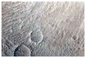 Lycus Sulci
