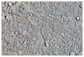 Cerberus Region
