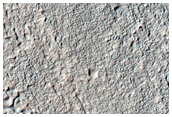 Gullies Starting Deep in Crater in Terra Sirenum
