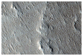 Olympus Mons
