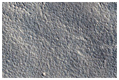 Northern Plains
