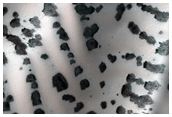 Oval Dune Field

