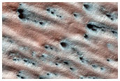 Lobe of Material with Spiders

