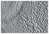 Northern Plains
