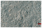 Terrain Sample
