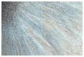 Crater in Daedalia Planum
