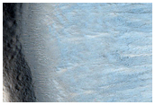 Landslide Scarp
