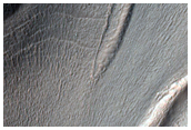 Lobate Flow Feature within Channel in Nereidum Montes
