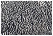 Layers in a Trough in Mareotis Fossae
