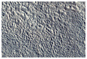 Northern Plains
