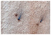 Spiders on Ejecta Blanket
