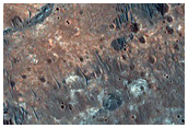 Dark Trough in CTX Image