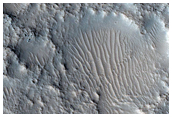 Albedo Boundary
