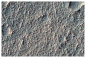 Mid-Latitude Terrain Sample
