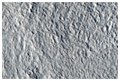 Nilosyrtis Mensae
