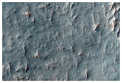 Mid-Latitude Terrain Sample
