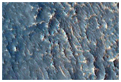 Light-Toned Layered Deposits in Noctis Labyrinthus
