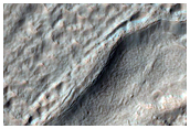 Volatiles and Gullies
