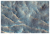 Gullies in Porter Crater
