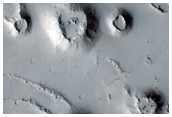 Cratered Cones in Tartarus Colles Region
