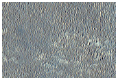 ExoMars Landing Site

