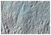 Monitor Gullies in Niquero Crater
