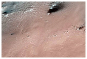 Evolution of Spider Terrain
