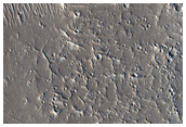 Landforms Near Olympus Mons and Lycus Sulci
