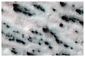 Lobe of Material with Spiders
