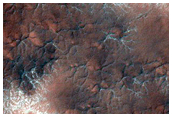 Spider Terrain Not on South Polar Layered Deposit
