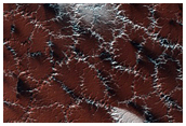 Bright and Dark Fans on Patterned Ground
